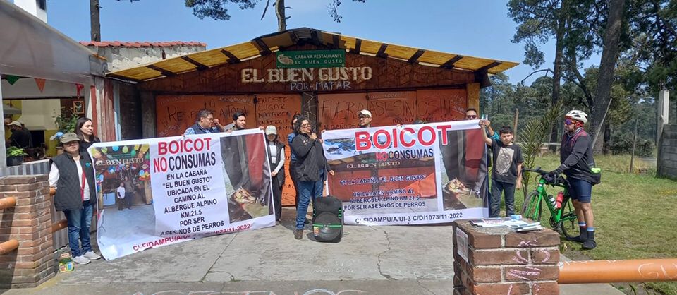Clausuran» y lanzan boicot contra restaurante en Ajusco por muerte de perro  – Infopolitano