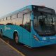 MEXIBUS