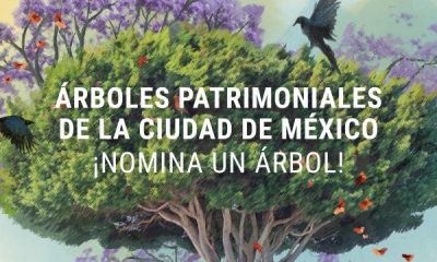CDMX