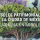 CDMX