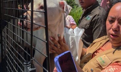RESCATE ANIMAL