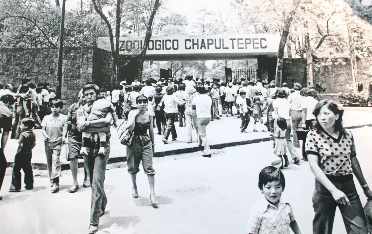 Chapultepec, cdmx