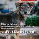 DÍA DEL PERRO