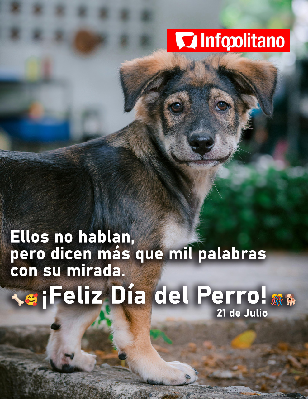 DÍA DEL PERRO