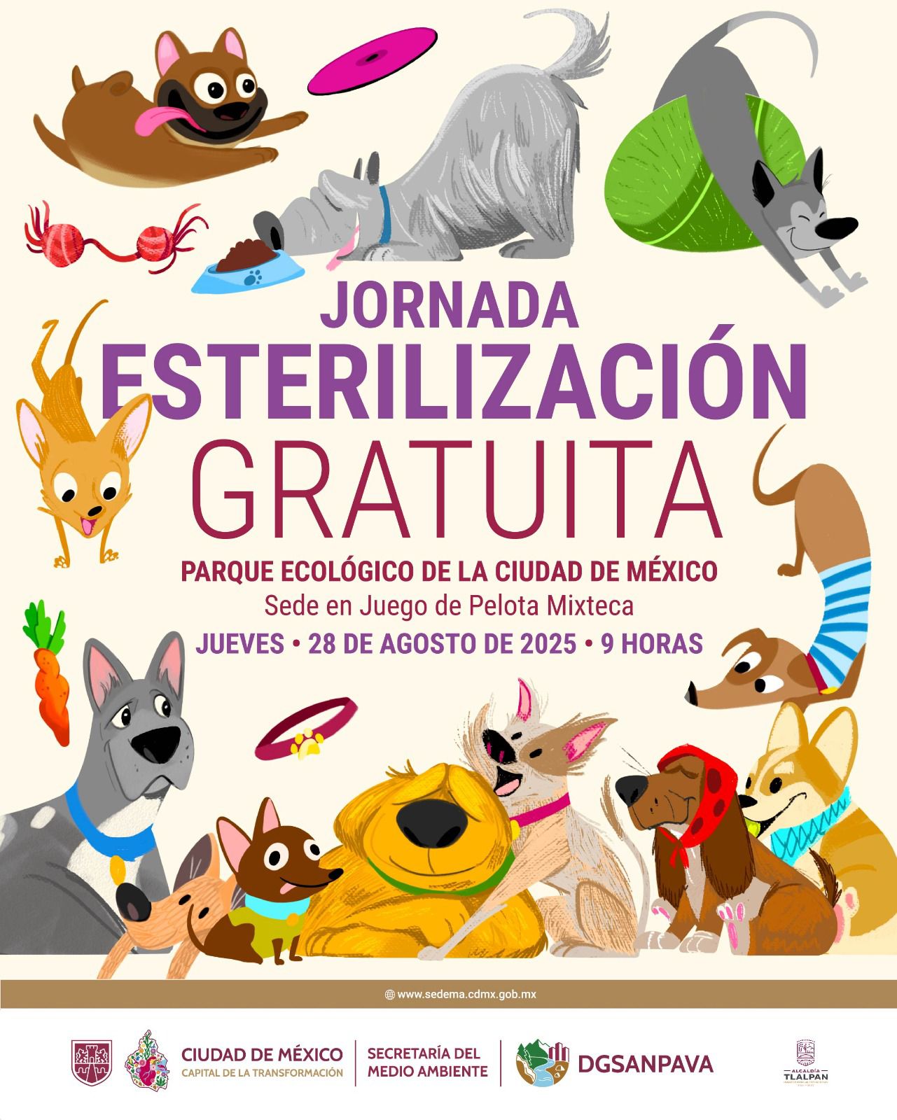 perritos
